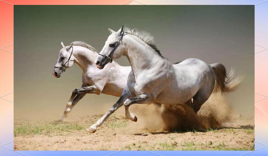 梦见种大葱的5大象征意义，揭示梦境背后深意