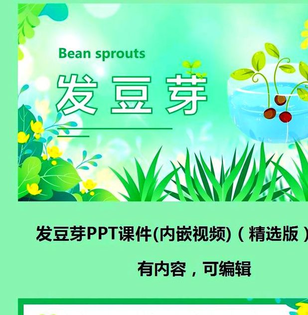 梦见豆芽象征的深层含义实现梦想的高效解决方案