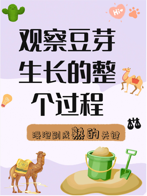 梦见豆芽象征的深层含义实现梦想的高效解决方案