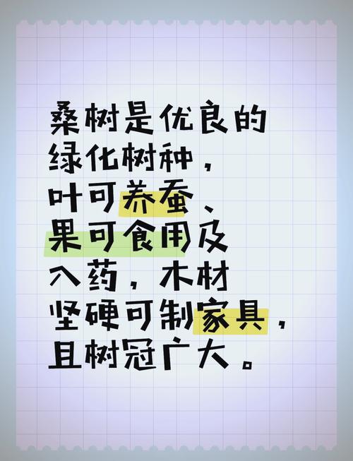 梦见桑树意味着哪些？专家解读及5大心理象征