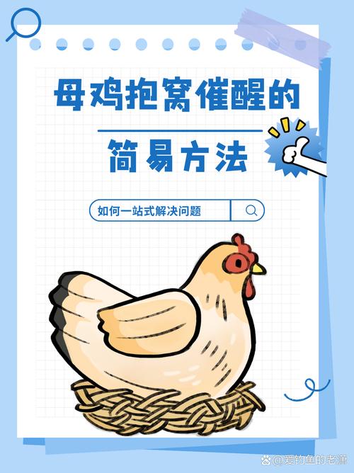 梦见抱鸡象征何种内涵？深入解析与心灵启示