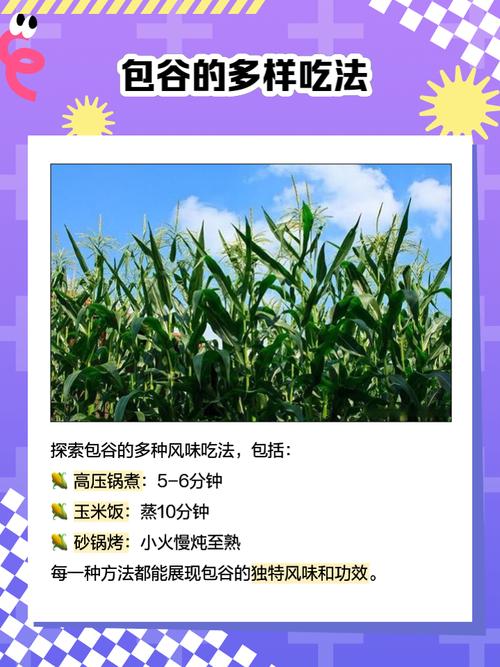 梦见包谷的象征含义及其对生活的启示