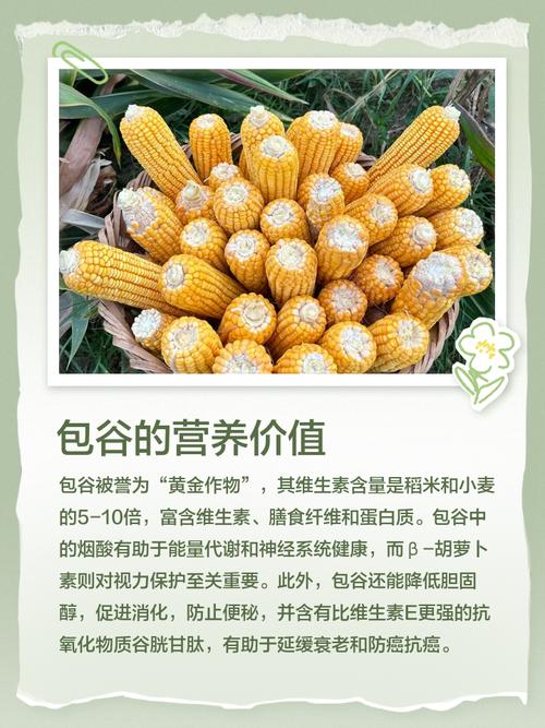 梦见包谷的象征含义及其对生活的启示