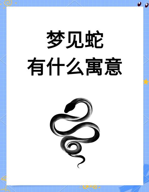 探索梦见大黑蛇的深层寓意揭示内心隐藏力量与潜能