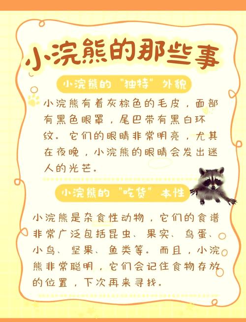 解密梦见浣熊的5个象征意义，为你揭示潜藏信息