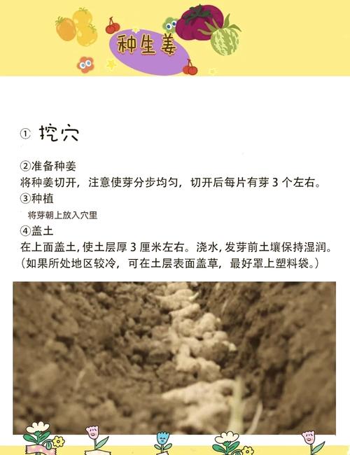 解析梦见毛笋的深层含义及其对个人成长的启示