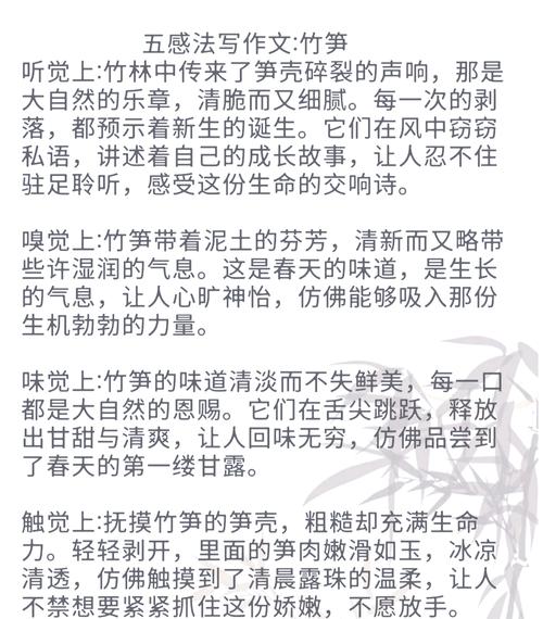 解析梦见毛笋的深层含义及其对个人成长的启示