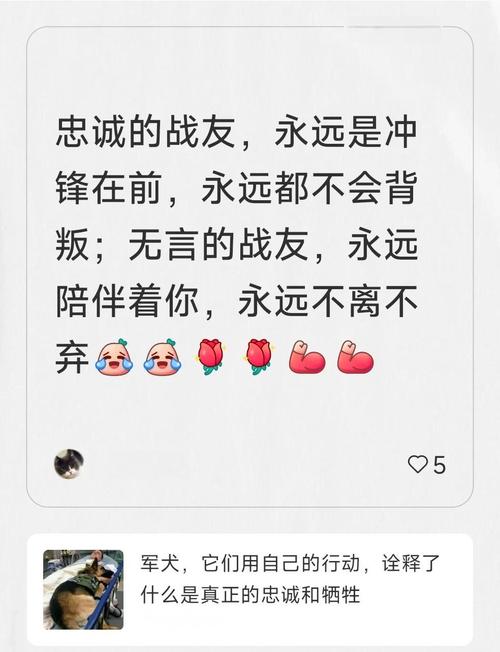 梦见战友解析心理暗示 vs 现实启示，你了解多少？