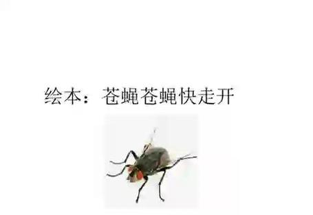 梦见吃苍蝇预示哪些？心理解读与生活启示碰撞