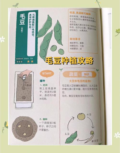 梦见毛豆意味着哪些？深度解析与高效解决方案