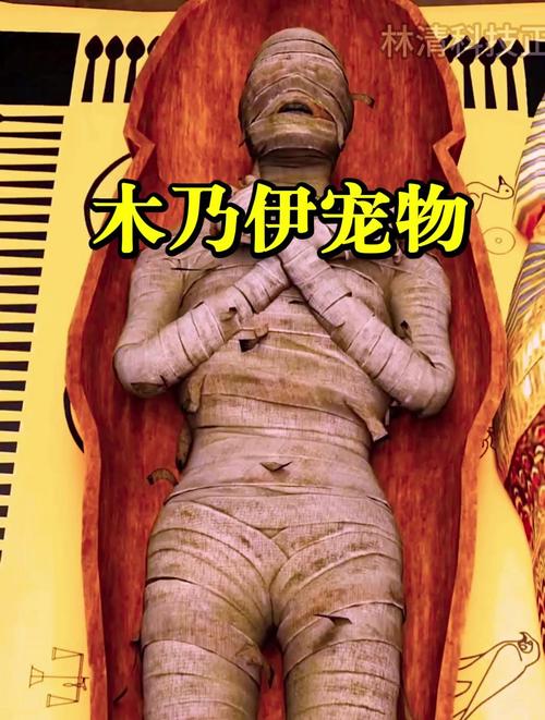 深夜梦见木乃伊暗示哪些?揭开背后隐藏的心理秘密 深夜梦见木乃伊暗示哪些?揭开背后隐藏的心理秘密