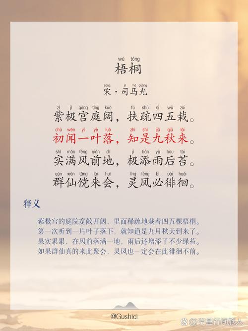 梦见梧桐象征哪些？解读背后的秘密与心理暗示