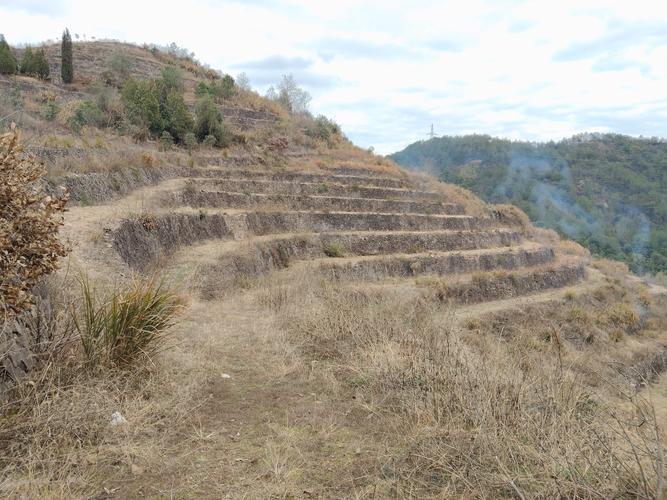 梦见田地荒芜揭示隐藏含义及其对你未来的影响 梦见田地荒芜揭示隐藏含义及其对你未来的影响