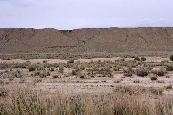 梦见田地荒芜揭示隐藏含义及其对你未来的影响 梦见田地荒芜揭示隐藏含义及其对你未来的影响