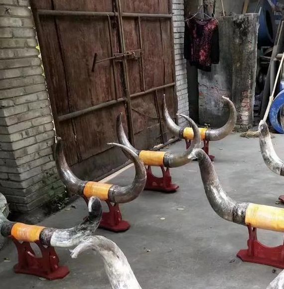 梦见牛角象征哪些？深度解读与心理启示，引发心灵共鸣！