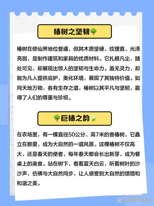 梦见香椿树的祥瑞象征，解析潜藏运势影响及心理暗示