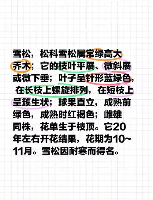 梦见雪松寓意解析心理暗示与生活启示分析