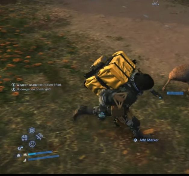 为什么在死亡搁浅2中赛跑与袋鼠？揭秘土澳野生动物生态奥秘！