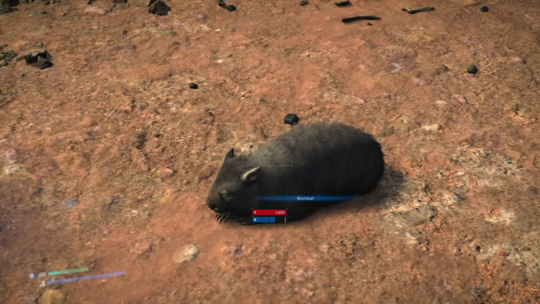 为什么在死亡搁浅2中赛跑与袋鼠？揭秘土澳野生动物生态奥秘！