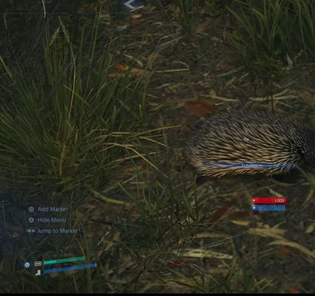 为什么在死亡搁浅2中赛跑与袋鼠？揭秘土澳野生动物生态奥秘！