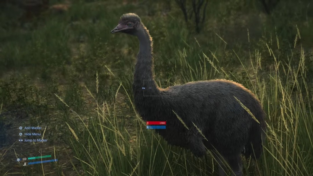 为什么在死亡搁浅2中赛跑与袋鼠？揭秘土澳野生动物生态奥秘！