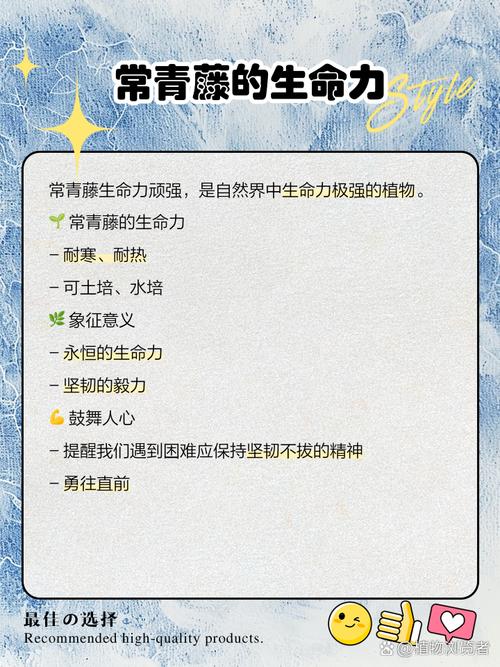 梦见常青藤意味着哪些？解密背后深层含义及高效解决方案