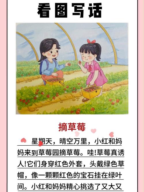 梦见摘草莓的7大象征意义，揭示潜在心理暗示