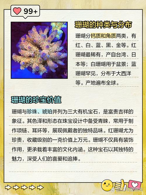 梦见珊瑚的神秘象征，解析潜意识连接与生活启示！
