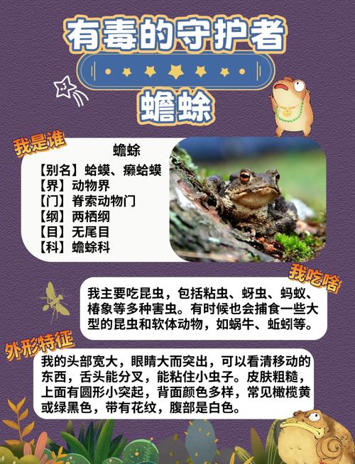 梦见蟾蜍的深层寓意如何解读并找到高效解决方案? 梦见蟾蜍的深层寓意如何解读并找到高效解决方案?