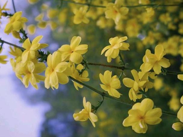 梦见绿色衣服象征着春意盎然,解析揭示潜藏的吉祥预兆,助您生活更美好! 梦见绿色衣服象征着春意盎然,解析揭示潜藏的吉祥预兆,助您生活更美好!