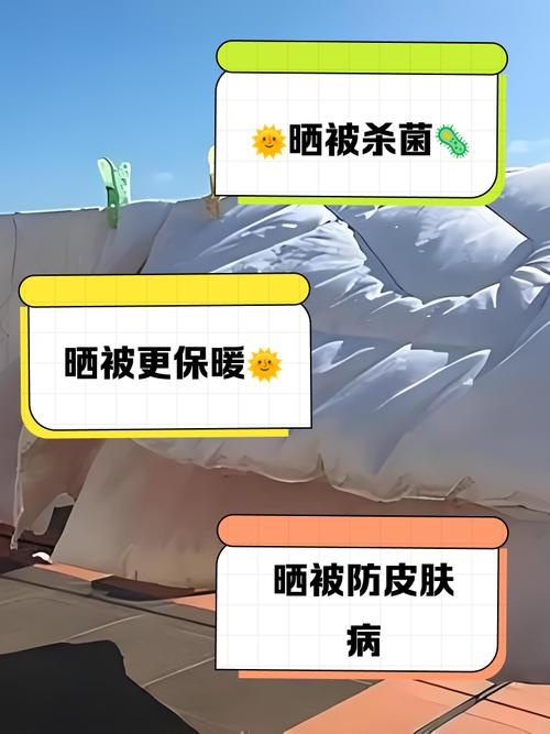 梦见晒被子意味着哪些？解读象征意义与高效解决方案