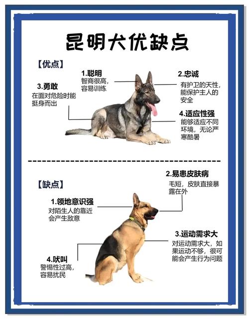 解梦猎犬象征忠诚与保护，揭示内心深处渴望安全感的深刻心理分析！
