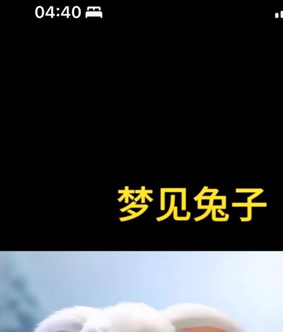 梦见白兔的深层心理启示，探索象征寓意解读梦境的神秘魅力！