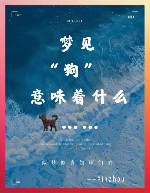 梦见黑狗意味着哪些？解读梦境背后的心理暗示与长尾影响