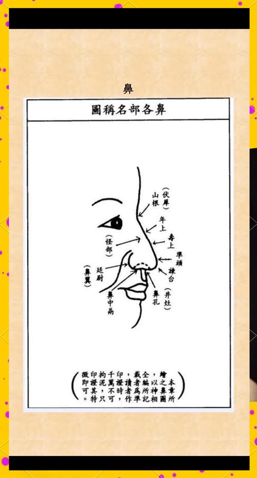 梦见鼻孔吉凶解析及心理启示，了解隐藏信息提升自我调整能力