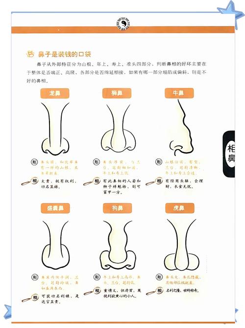 梦见鼻孔吉凶解析及心理启示，了解隐藏信息提升自我调整能力