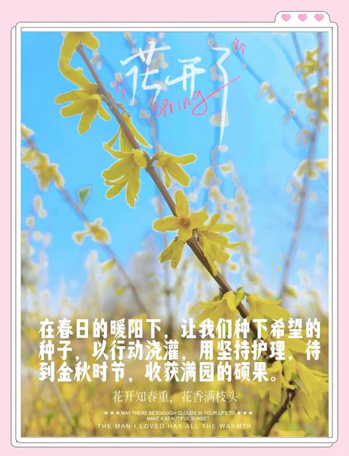 梦见春季揭示5个心灵成长技巧，提高生活幸福感