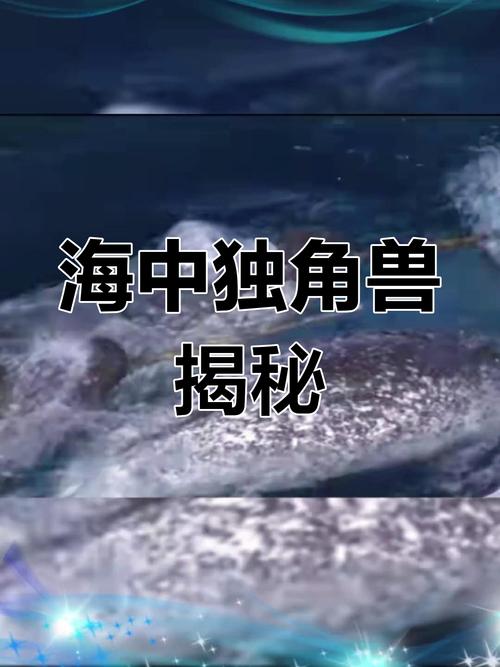 海洋独角兽：揭秘神秘生物攻略