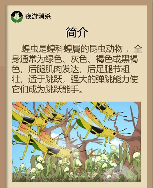 梦见蝗虫预示哪些？解读梦境背后的神秘预兆