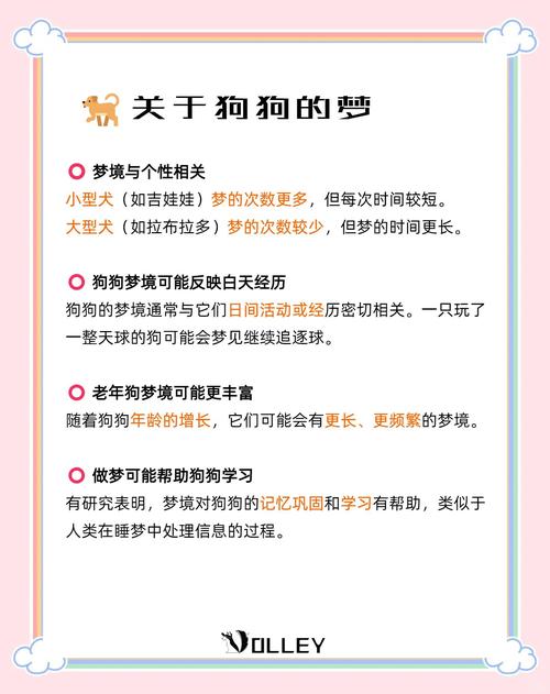 梦见小狗暗藏何种吉凶？解读梦境背后的深层含义