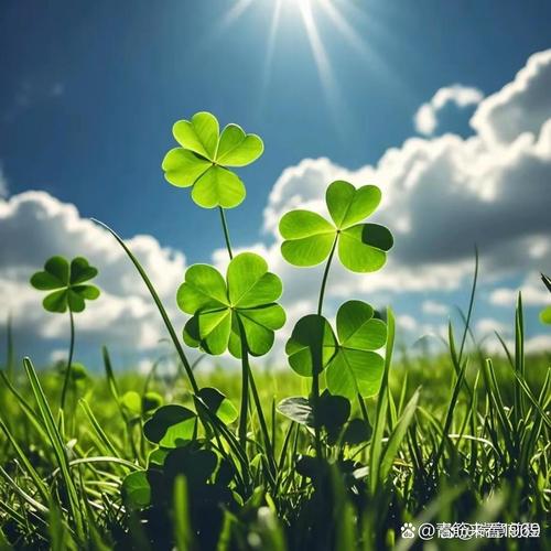 梦见青草象征哪些?解密梦境心理,提升生活幸福感! 梦见青草象征哪些?解密梦境心理,提升生活幸福感!