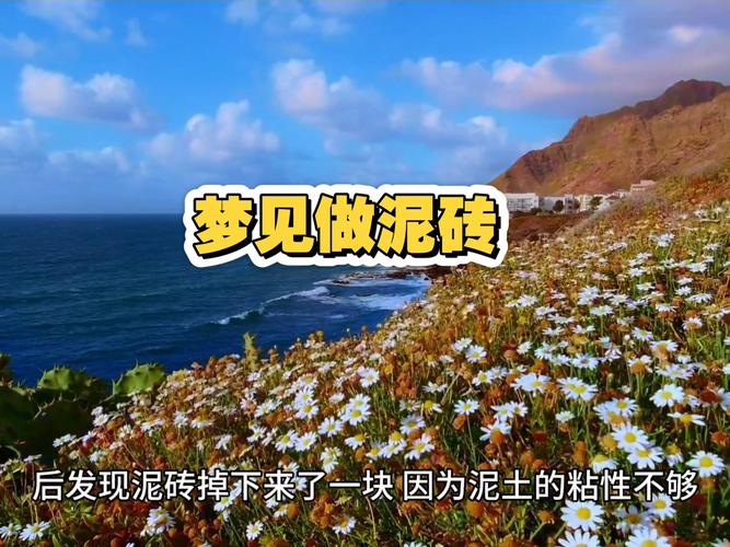 梦见砖头寓意深远心理解析与现实对比分析