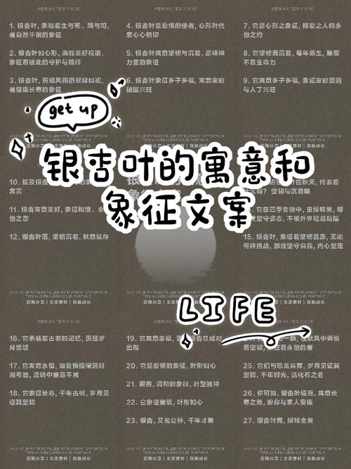 梦见银杏树叶满地散落寓意详解探索内心深处的情感涟漪与启示