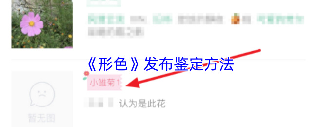 手游攻略:形色鉴定技巧指南,一步步解锁你的游戏潜能! 手游攻略:形色鉴定技巧指南,一步步解锁你的游戏潜能!