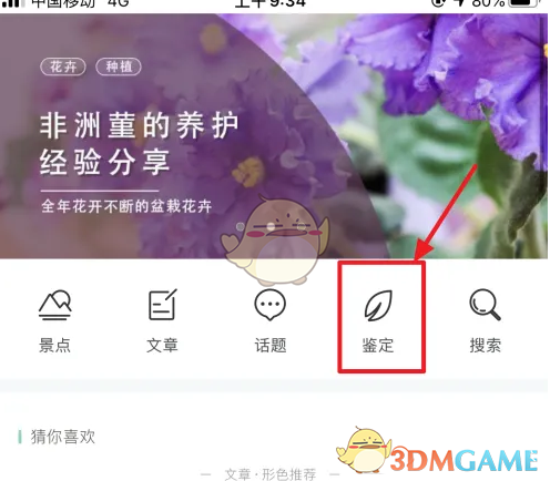 手游攻略:形色鉴定技巧指南,一步步解锁你的游戏潜能! 手游攻略:形色鉴定技巧指南,一步步解锁你的游戏潜能!