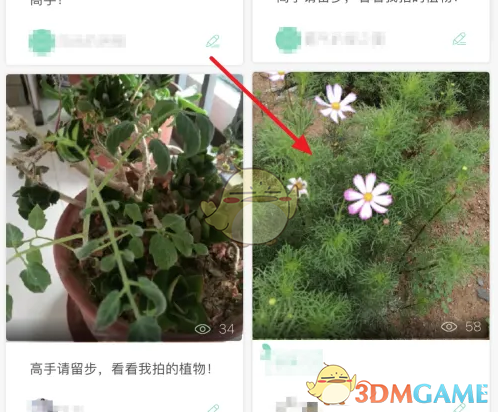 手游攻略:形色鉴定技巧指南,一步步解锁你的游戏潜能! 手游攻略:形色鉴定技巧指南,一步步解锁你的游戏潜能!