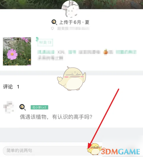 手游攻略:形色鉴定技巧指南,一步步解锁你的游戏潜能! 手游攻略:形色鉴定技巧指南,一步步解锁你的游戏潜能!