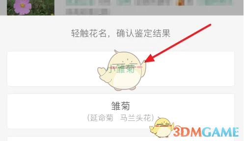 手游攻略:形色鉴定技巧指南,一步步解锁你的游戏潜能! 手游攻略:形色鉴定技巧指南,一步步解锁你的游戏潜能!