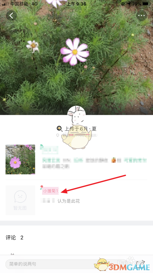 手游攻略:形色鉴定技巧指南,一步步解锁你的游戏潜能! 手游攻略:形色鉴定技巧指南,一步步解锁你的游戏潜能!