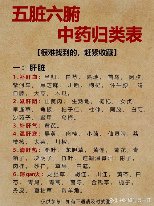 揭秘梦见中药的5个可能原因与健康信号